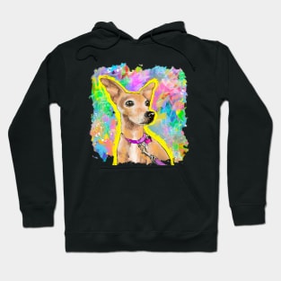 Doxie Hoodie